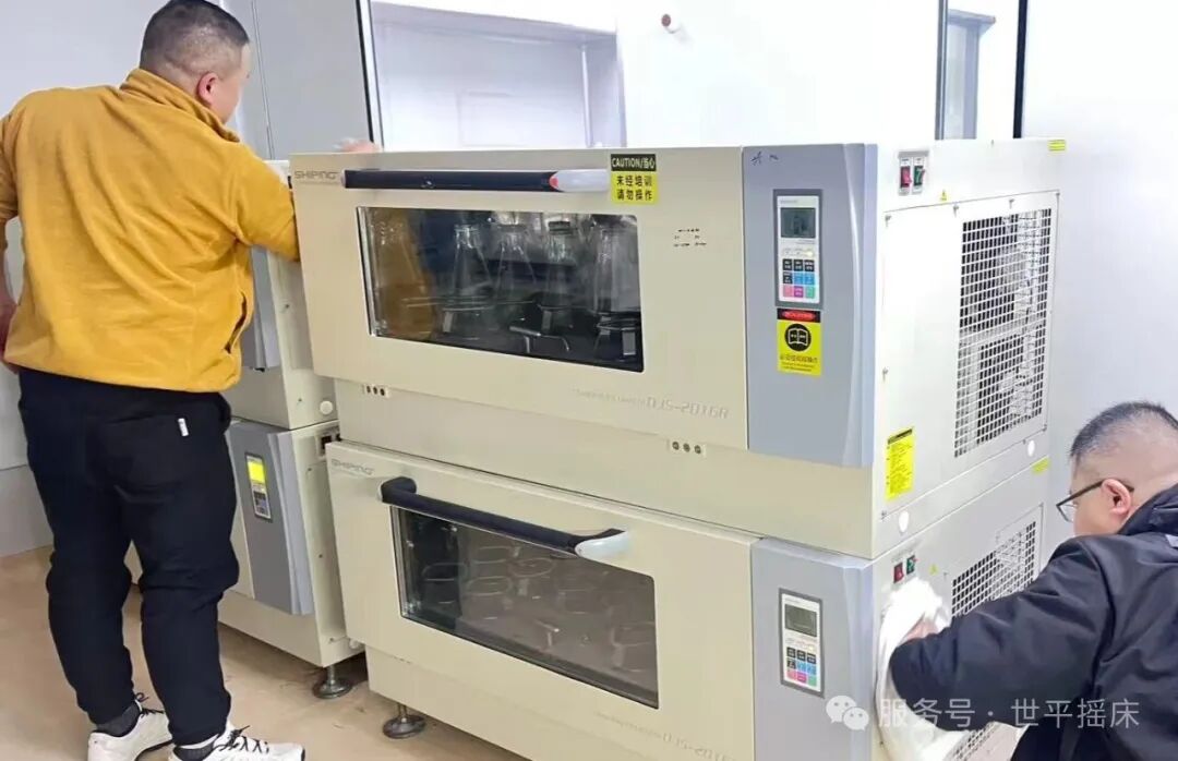 售后服務(wù)季 | 春風暖人心   上海世平售后服務(wù)在行動