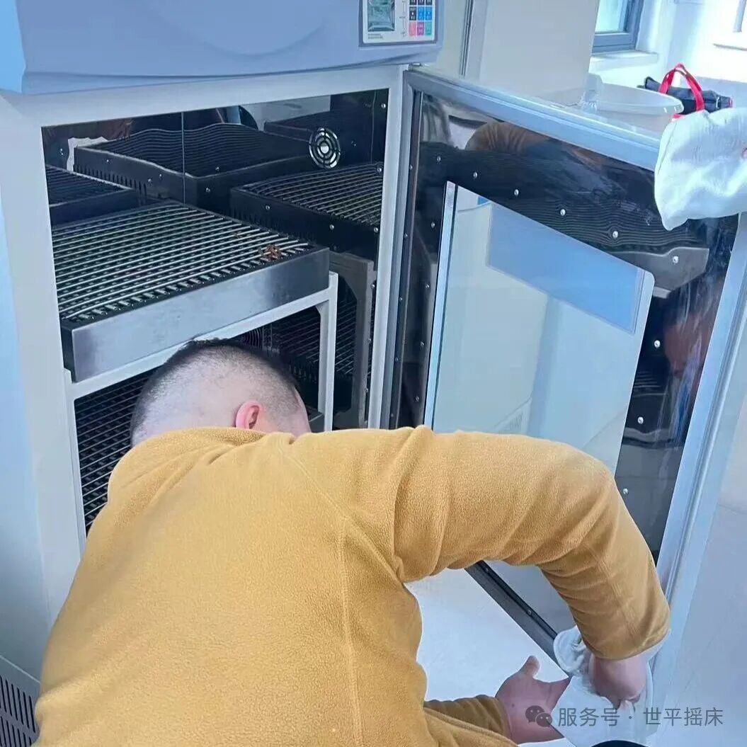 售后服務(wù)季 | 春風暖人心   上海世平售后服務(wù)在行動