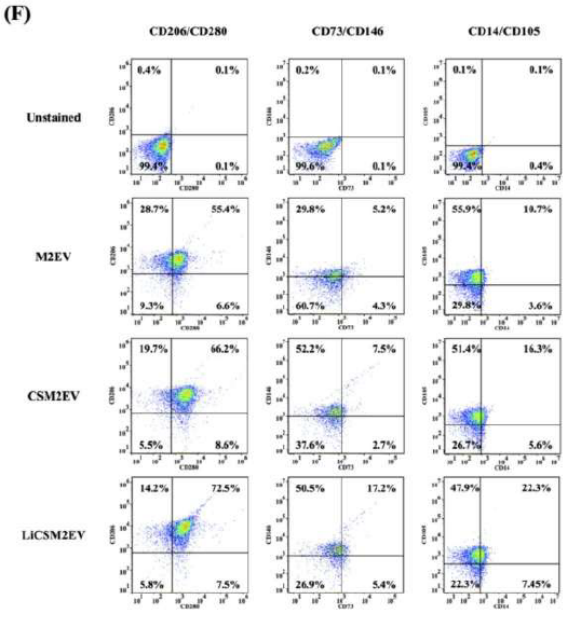 前沿解讀 | CytoFLEX nano納米流式助力揭秘“骨免疫”新機(jī)制