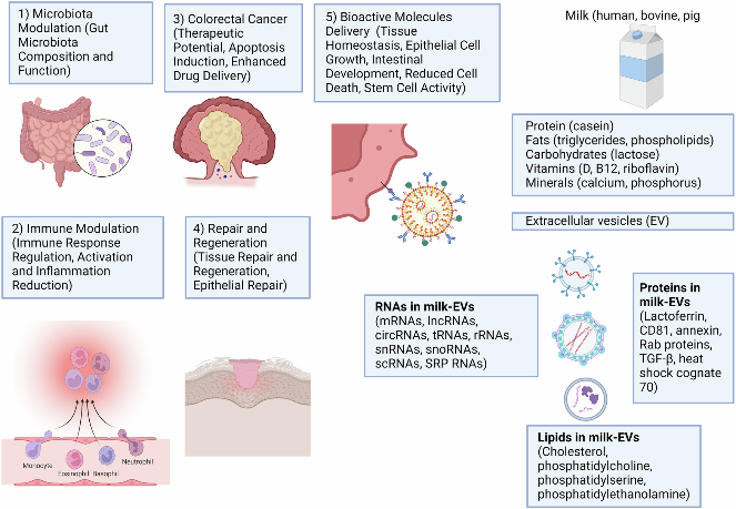 【應(yīng)用“泌”籍】這瓶牛奶不一般