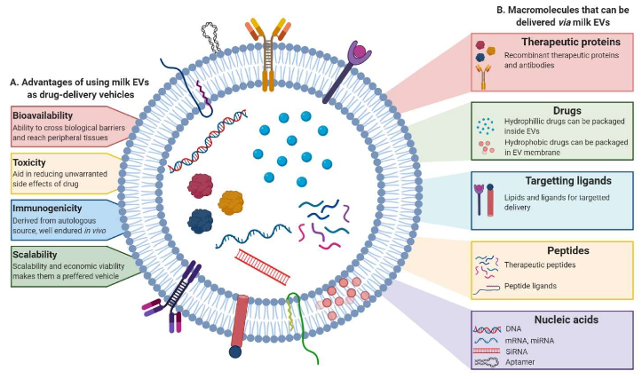 【應(yīng)用“泌”籍】這瓶牛奶不一般