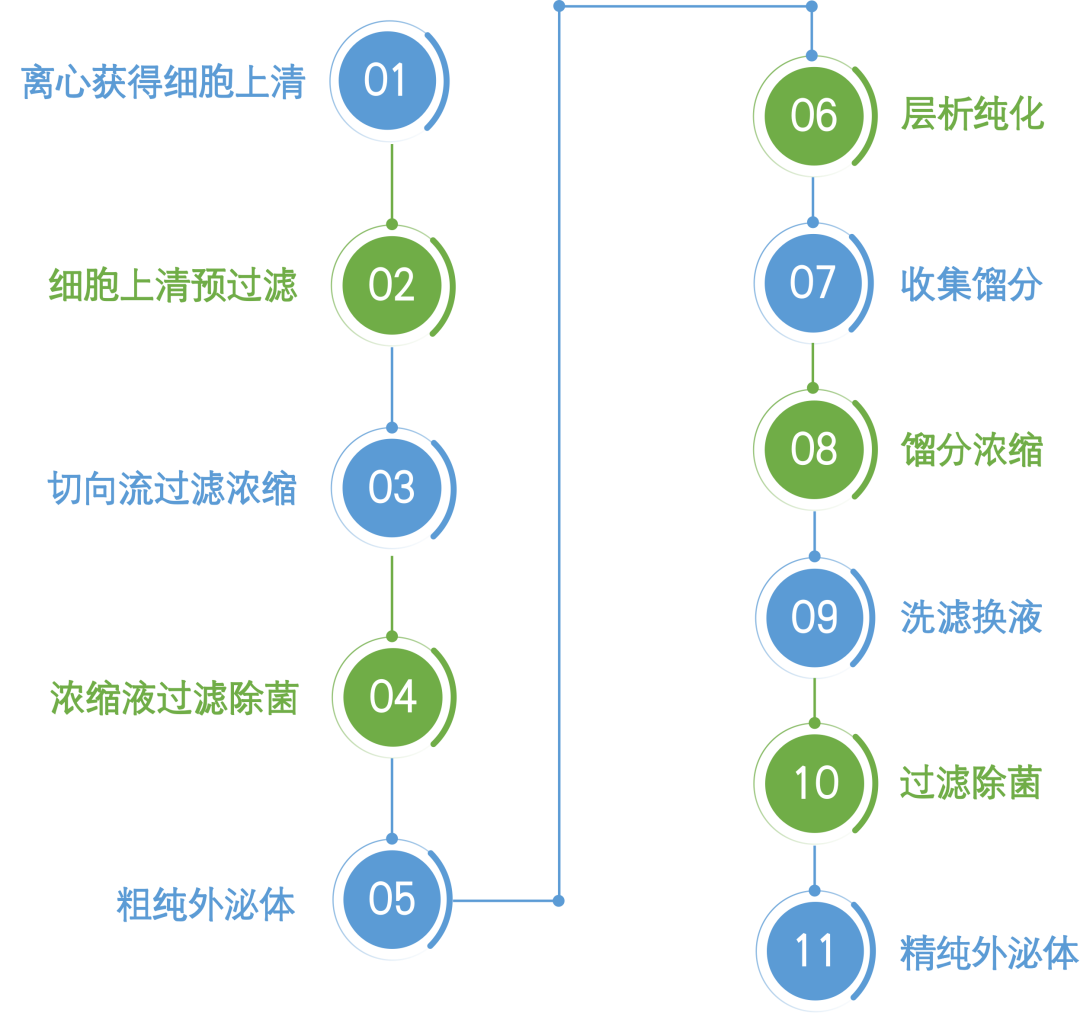 干货:采用不同方法结合提取大量样本细胞外囊泡的对比实验报告_上海宇玫博生物科技有限公司