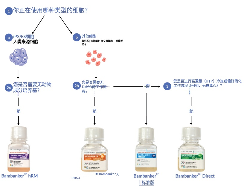 Bambanker細(xì)胞凍存液產(chǎn)品系列詳細(xì)介紹
