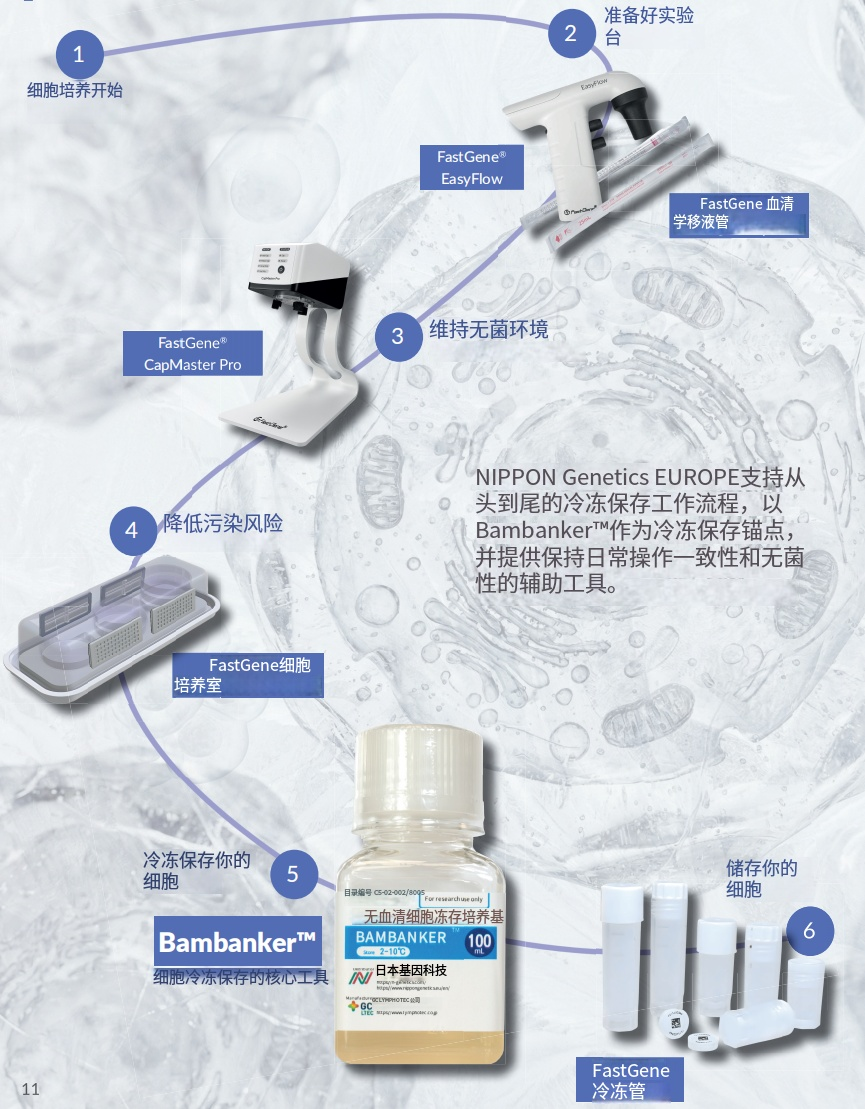 Bambanker細(xì)胞凍存液產(chǎn)品系列詳細(xì)介紹