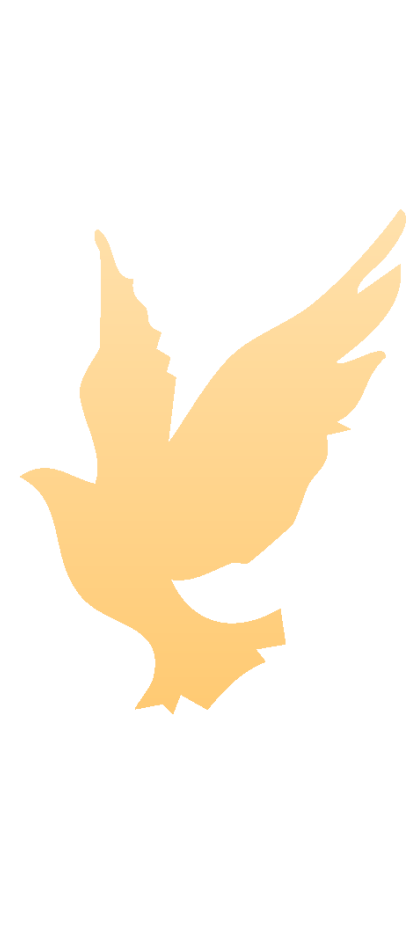 铭记历史，珍爱和平：钧普科技组织全体员工观看抗战胜利80周年阅兵仪式(图10)