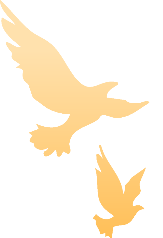 铭记历史，珍爱和平：钧普科技组织全体员工观看抗战胜利80周年阅兵仪式(图8)