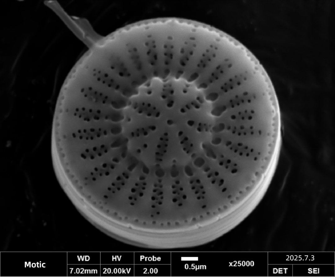 麥迪光學(xué)EasyNanoScan桌面式掃描電鏡入駐廣東明鑒文書司法鑒定所