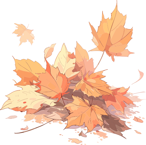 共赴一场与落叶的深度约会——总园落叶探索实录-幼师课件网第111张图片