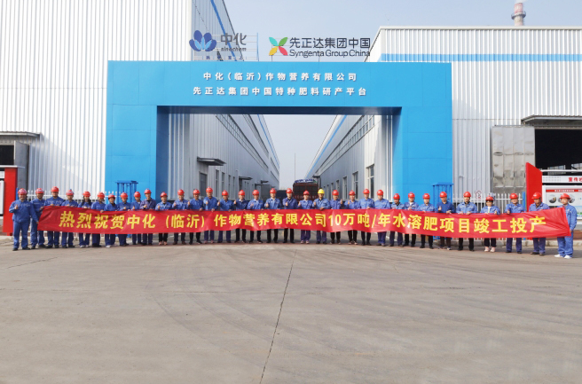 【實力工廠】安徽信遠包裝科技有限公司—企業(yè)介紹