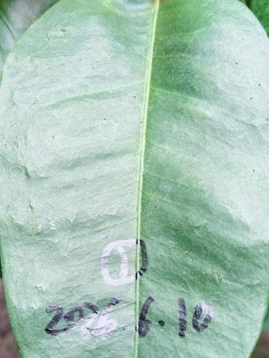 图片7