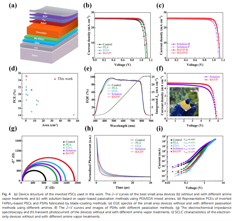 刮涂FAPbI3效率達25.2%！浙大團隊使用雷博等離子清洗機與涂膜機創下新紀錄!