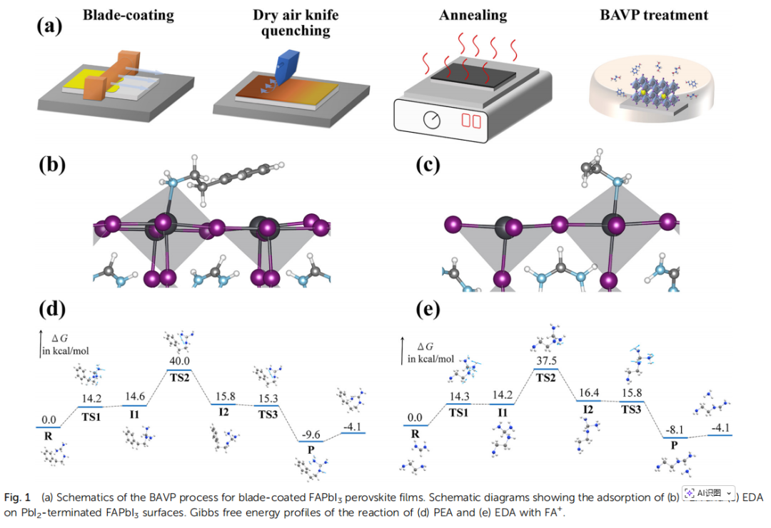 刮涂FAPbI3效率達25.2%！浙大團隊使用雷博等離子清洗機與涂膜機創下新紀錄!