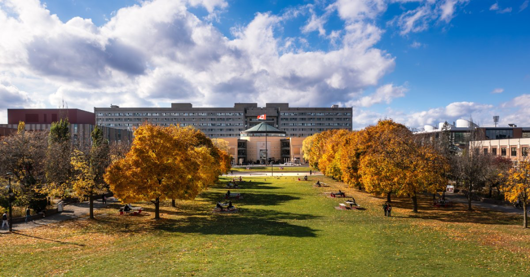 640 - 2025-05-26T115522.075.png