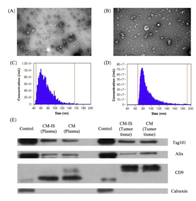 研究案例｜揭秘 EVs 研究背后的共同“神器”！