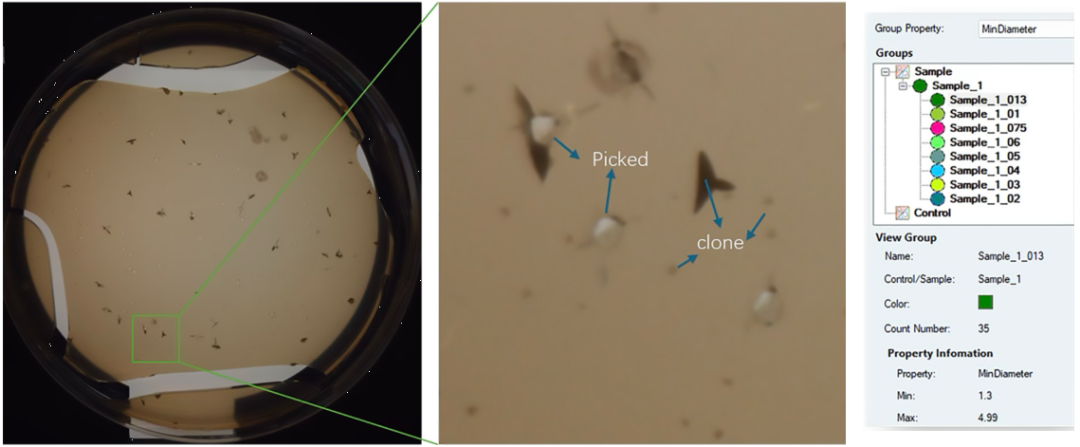 當(dāng)“腸道菌群”遇上自動(dòng)化：QPix FLEX 如何加速厭氧微生物篩選？