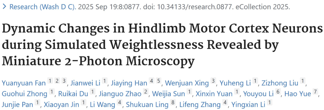 揭示模擬失重致后肢運動皮層神經元活動時序性變化的特征及機制