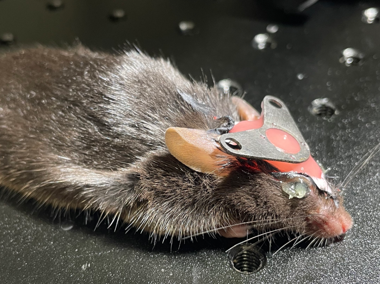 技術實操丨從“開窗