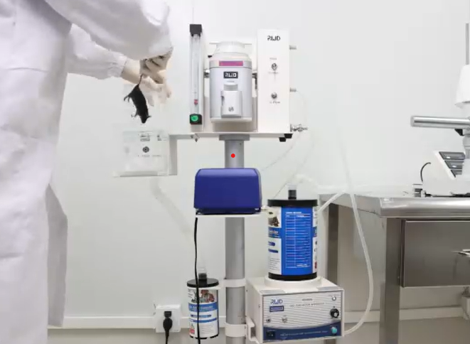 技術實操丨從“開窗