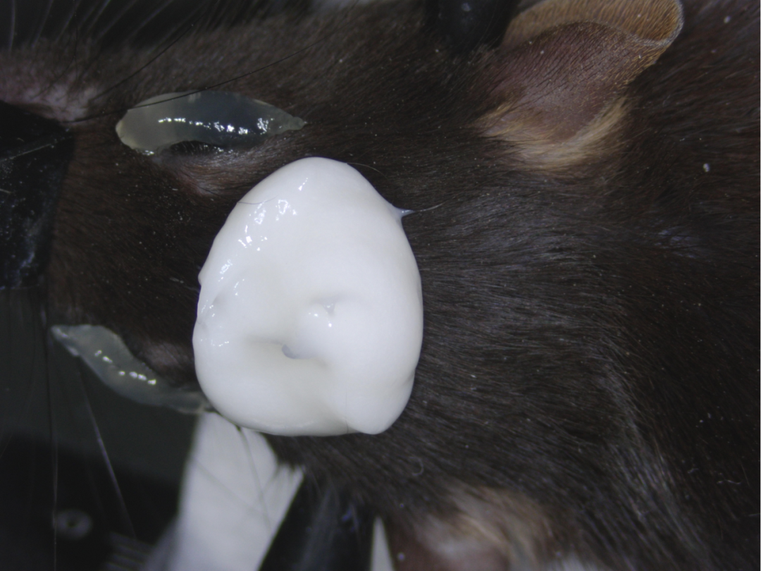 技術實操丨從“開窗