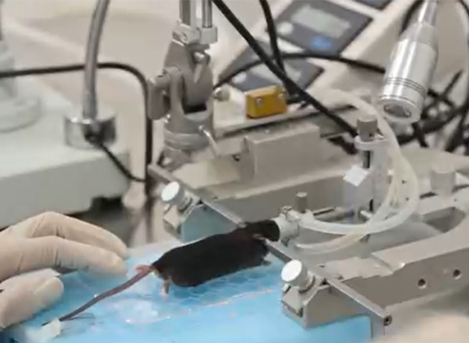 技術實操丨從“開窗