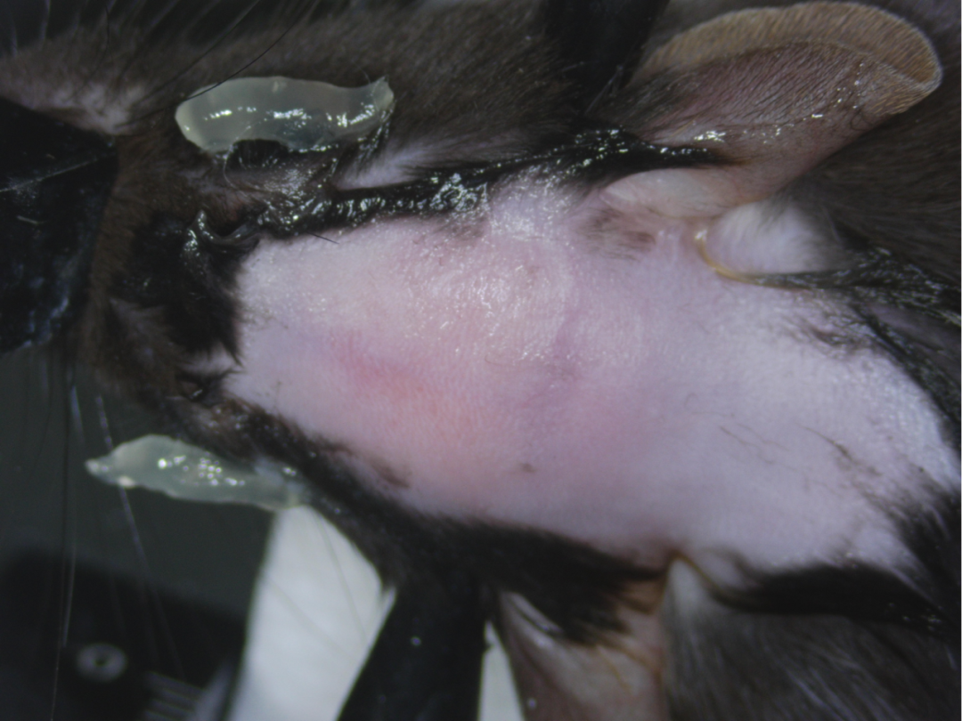 技術實操丨從“開窗