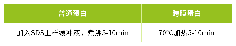 表格图片_Sheet2.png