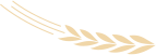 ""