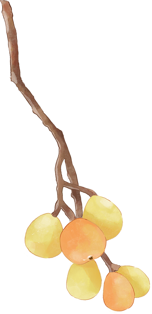 东幼幼儿一周食谱（2025.11.24-2025.11.28）-幼师课件网第2张图片