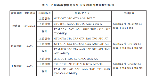 产肉毒毒素梭菌荧光 PCR 检测引物和探针序列