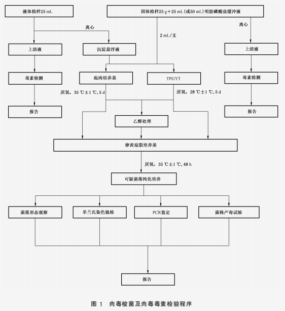 肉毒梭菌及肉毒毒素检验程序
