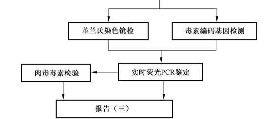 梭菌实时荧光PCR鉴定方法