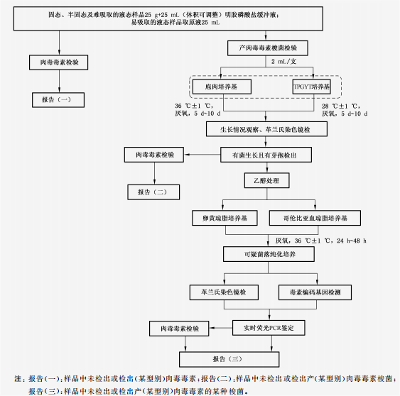 GB4789.12-2025肉毒梭菌及肉毒毒素检验程序