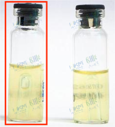 硝酸盐产气（+）