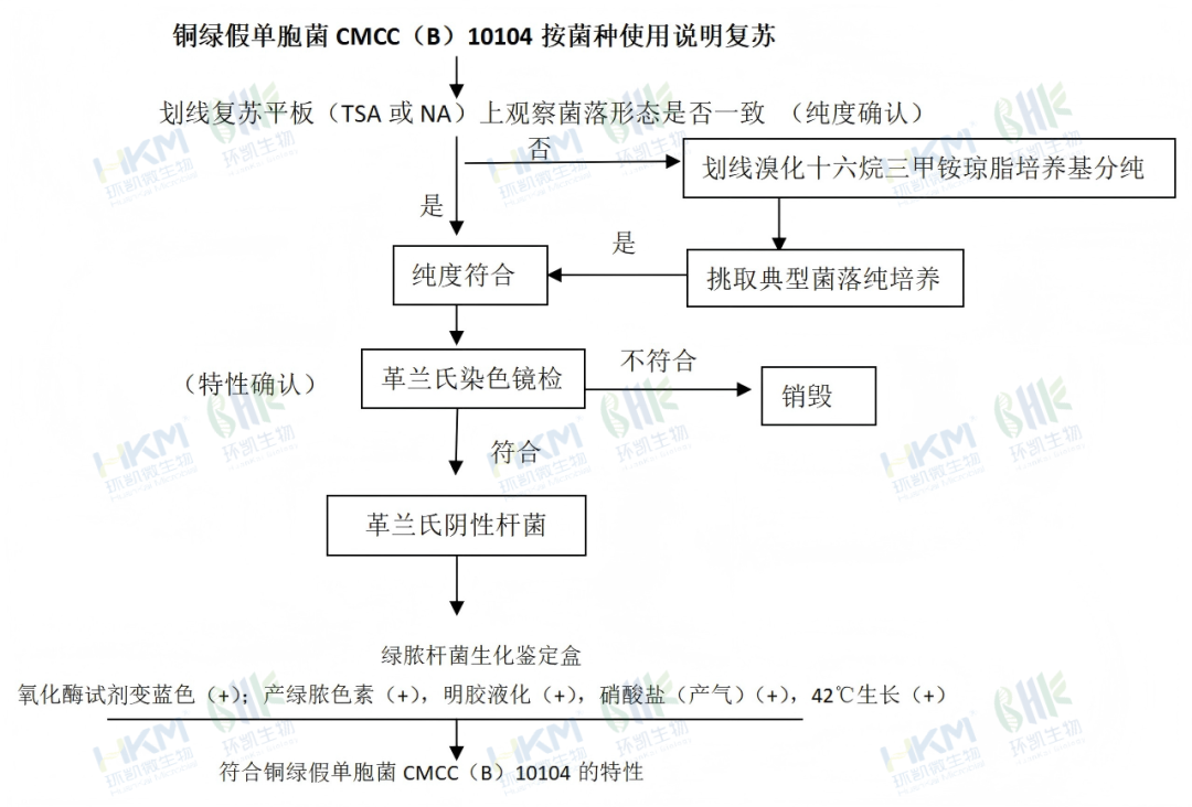 铜绿假单胞菌CMCC(B)10104按菌种使用说明复苏