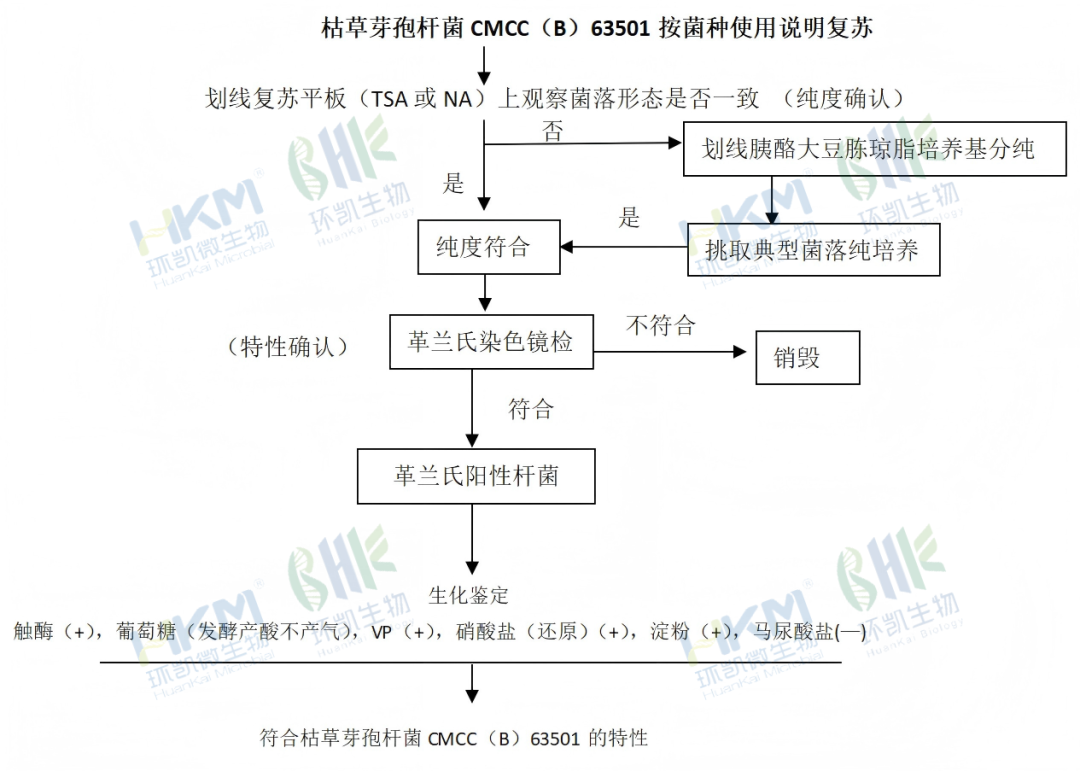 枯草芽孢杆菌CMCC（B）63501按菌种使用说明复苏