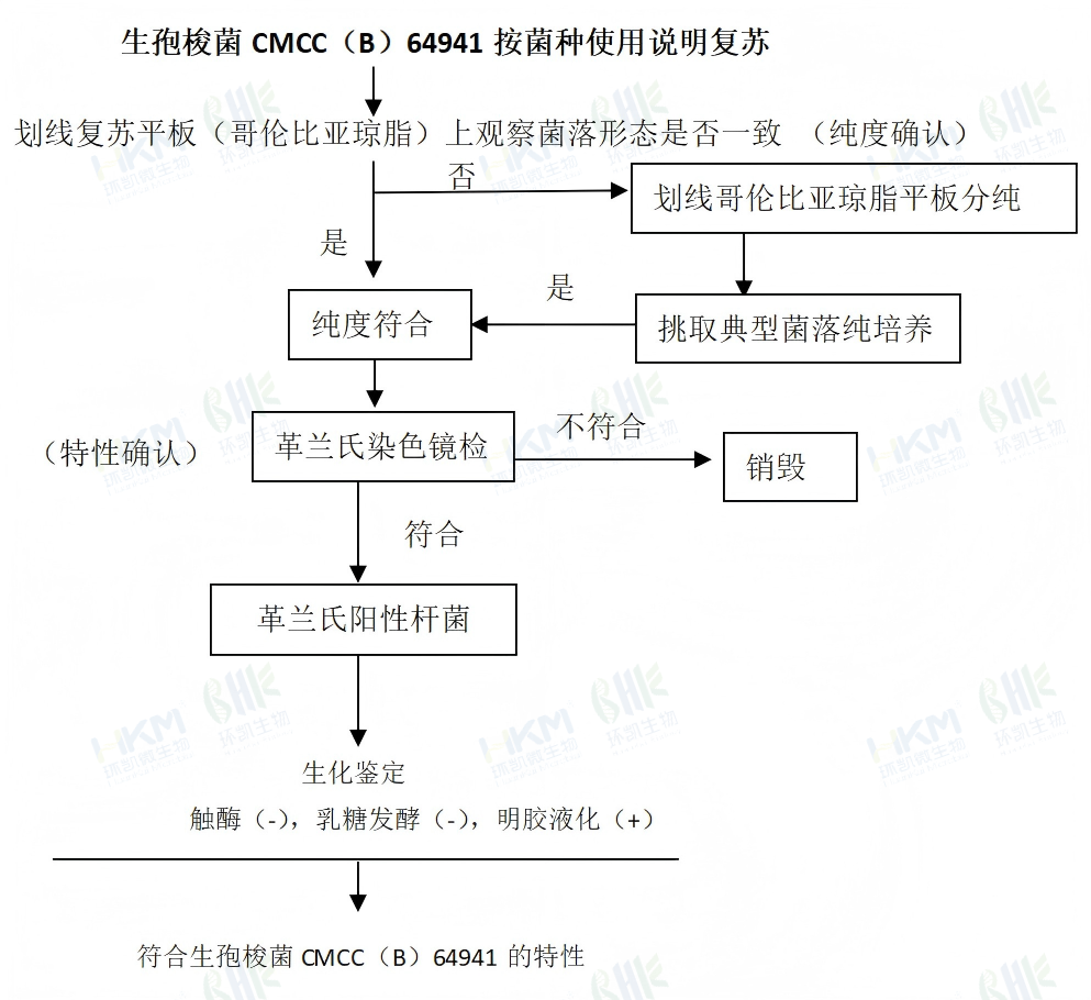 生孢梭菌CMCC（B）64941按菌种使用说明复苏