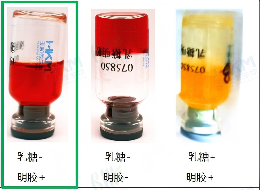 不利用乳糖，培养基不变色；明胶液化