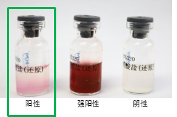 硝酸盐还原阳性，经培养后，滴加试剂马上变红色