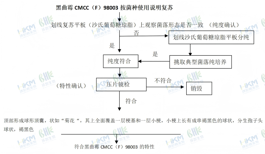 黑曲霉CMCC(F)98003按菌种使用说明复苏