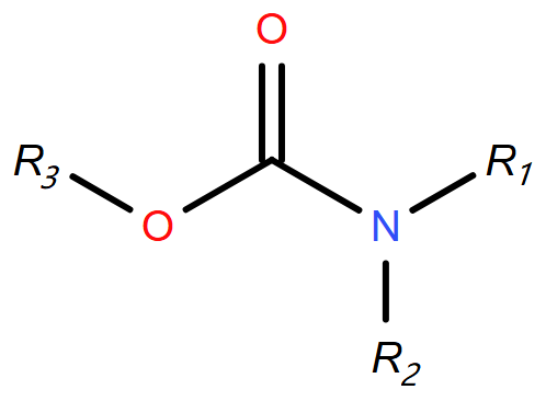 【小墨学院】光、水、菌三剑合璧！高效降解氨基甲酸酯