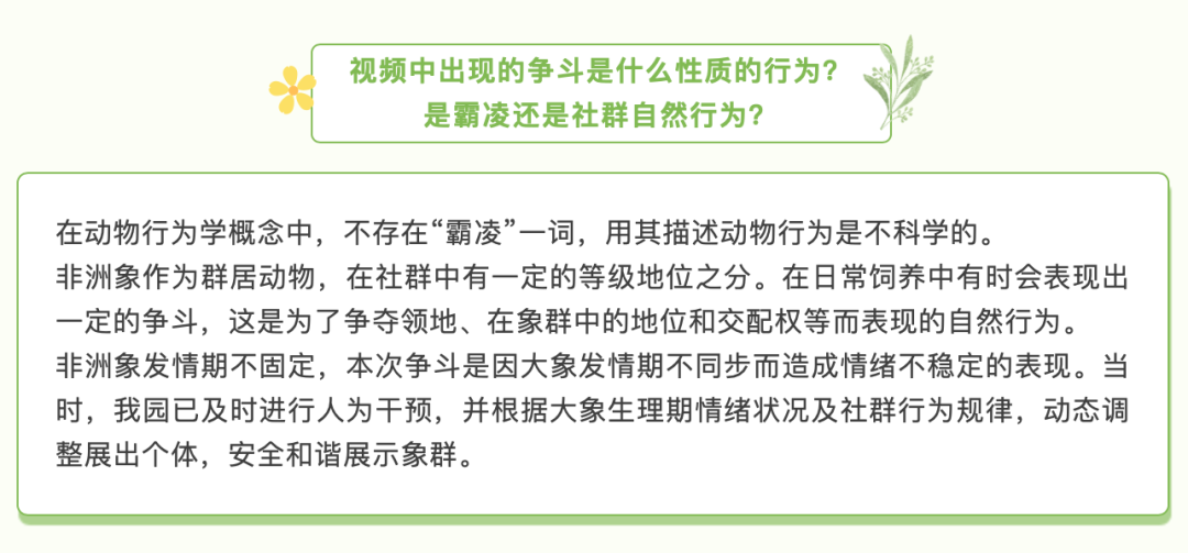 动物园一大象被霸凌