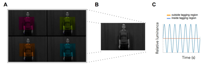 【客户文章】PROPixx 脑功能视听觉刺激系统助力 RIFT 技术，解锁认知探索新维度