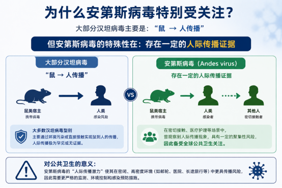 邮轮中文1.png