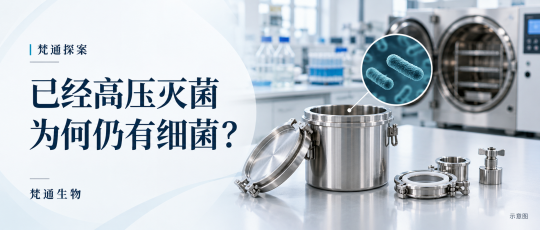 灭菌后的细菌之谜.png
