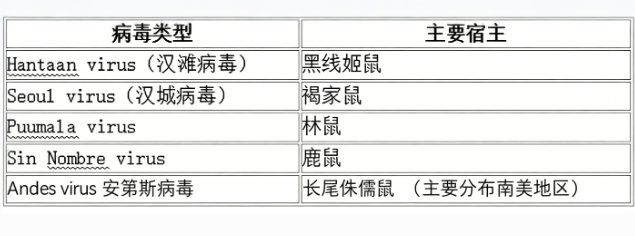 邮轮病毒.png