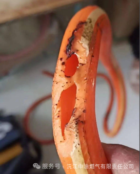 ͼƬ
