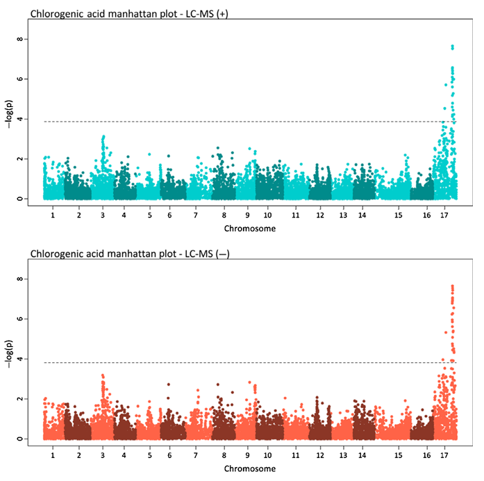 【育種創(chuàng)新加速器】安捷倫代謝組學方案解鎖育種核心場景