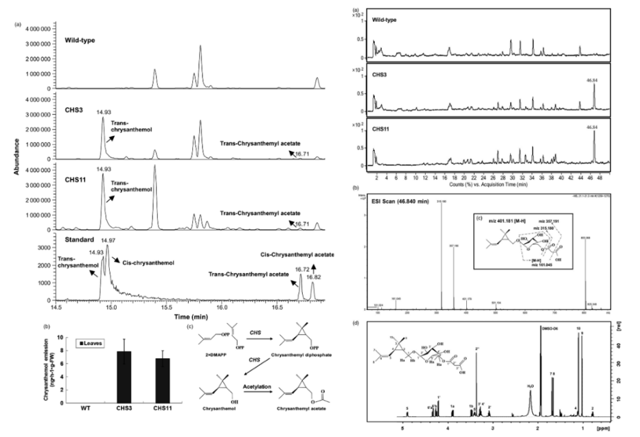 【育種創(chuàng)新加速器】安捷倫代謝組學方案解鎖育種核心場景