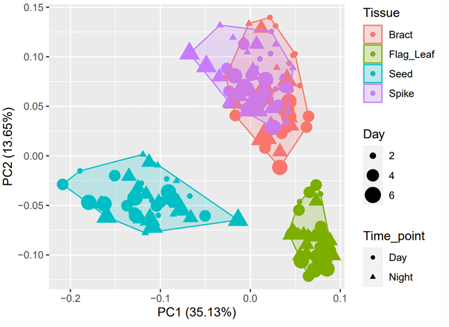 【育種創(chuàng)新加速器】安捷倫代謝組學方案解鎖育種核心場景