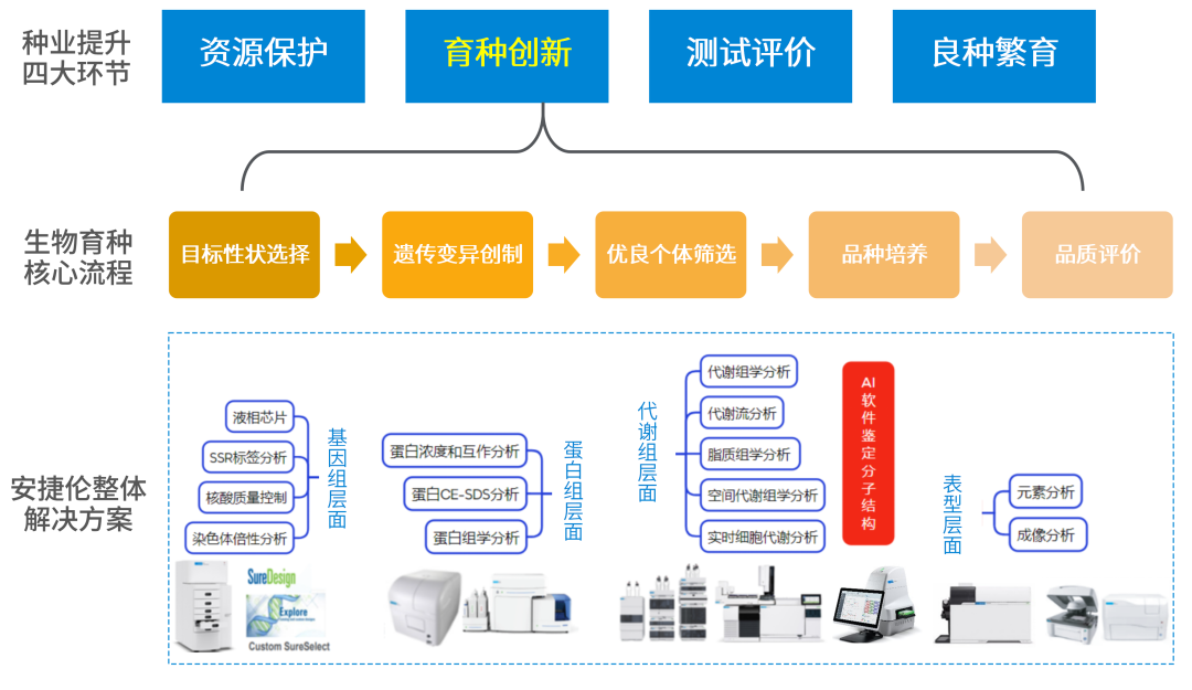 【育種創(chuàng)新加速器】安捷倫代謝組學方案解鎖育種核心場景
